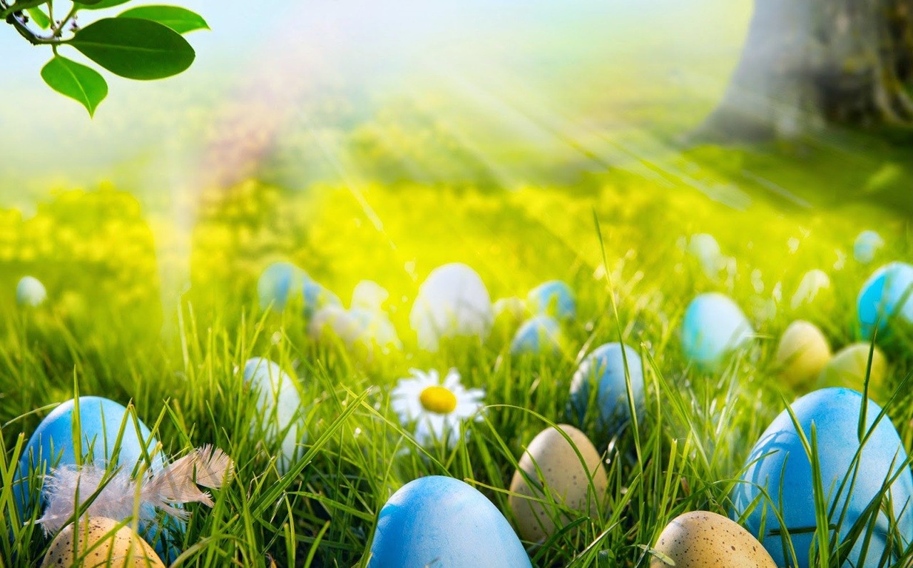 PASEN - FEEST van Jezus' verrijzenis | Kerknet